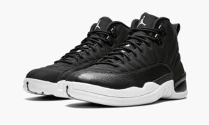 Air Jordan 12 Retro “PSNY FRIENDS AND FAMILY”