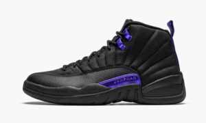 Air Jordan 12 Retro “Dark Concord”